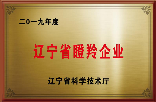 Liaoning Gazelle Enterprises