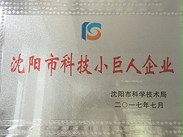 Shenyang Science and Technology Small Giant Enterprises