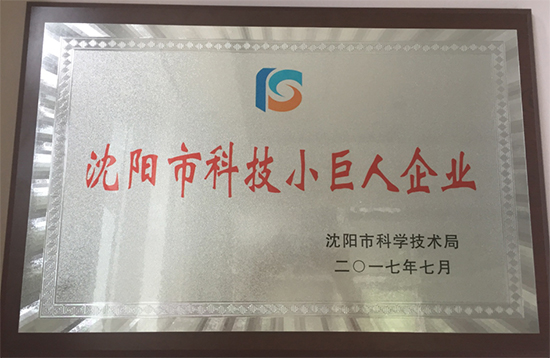 Shenyang Science and Technology Small Giant Enterprises