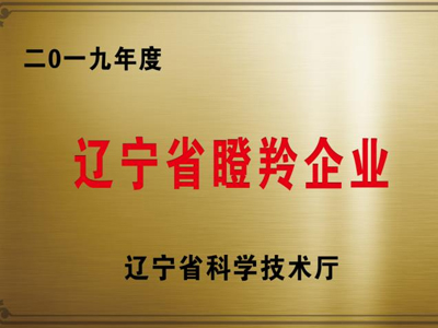 Liaoning Gazelle Enterprises